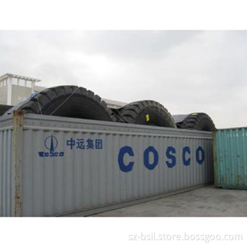 Reefer Container, Warehouse and Logistic